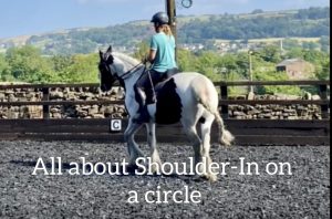 Shoulder-in on a circle