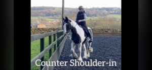 Counter Shoulder- In