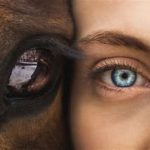 Self awareness for horse riders