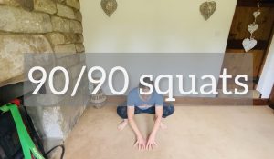 90/90 Squat